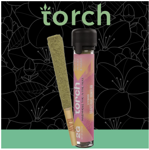 Torch Hashhole THC-A 2G Kief & Hash – Display of 10