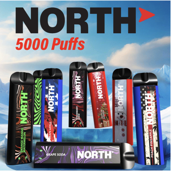 NORTH NIC 5% Rechargeable Disposable 10ML 5000 Puffs – Display of 10