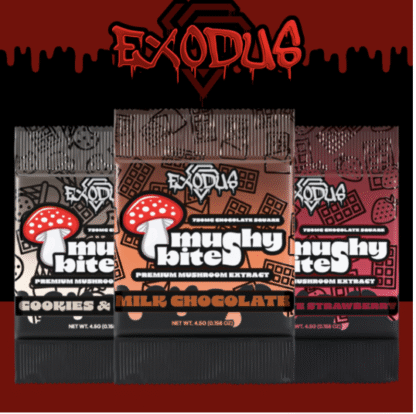 EXODUS Mushy Bites 750mg Mushroom Extract Chocolate Square – Display of 30